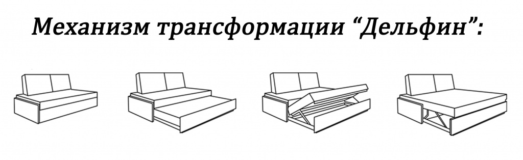 дельфин.jpg